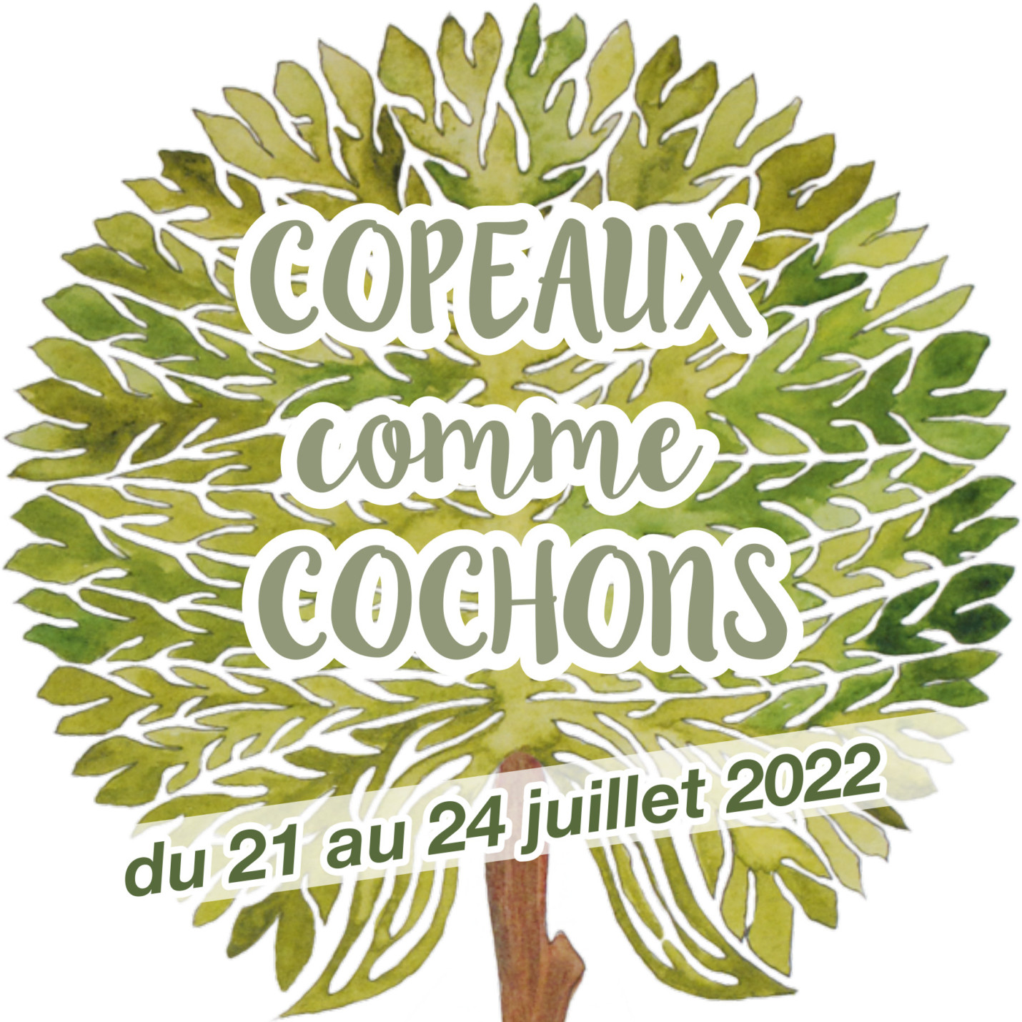 Tirage Au Sort Solution Verte C g o s 2022 Copeaux comme Cochons 2022 - Demain en main