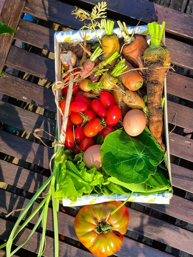 23155e64-8b62-33d6-3de6-3c118a89abd1