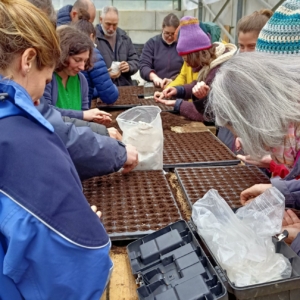 Concevoir et aménager son potager