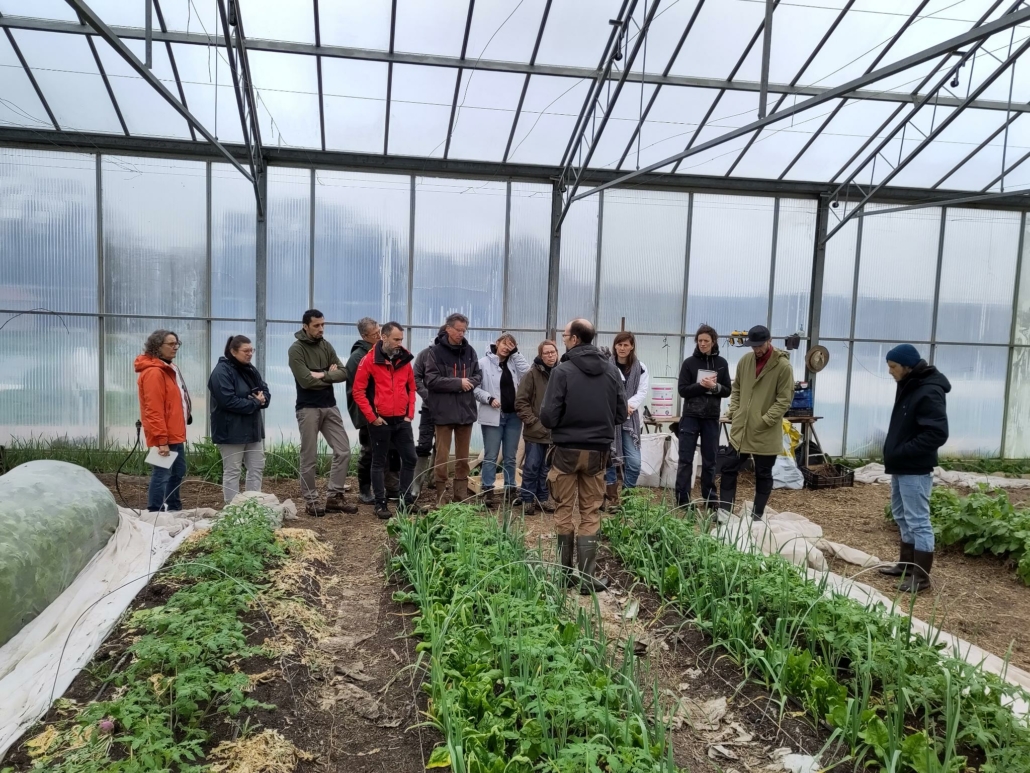 signal-2024-03-17-08-35-20-004-5