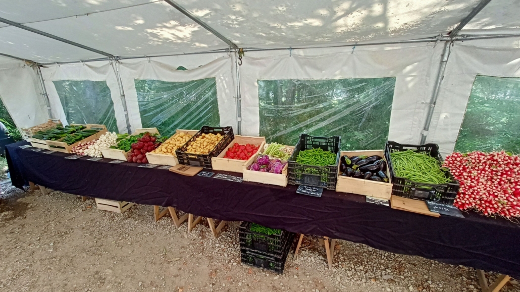 506728708_1131062849040892_7918853498520909870_n