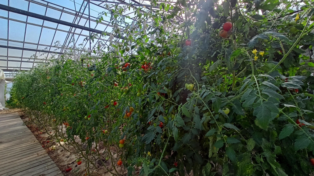 538824746_1192993709514472_5078598687027780469_n