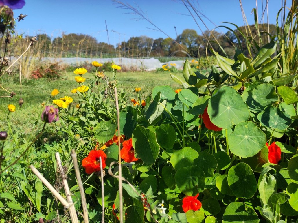 564528422_1236370458510130_1174597325381804195_n