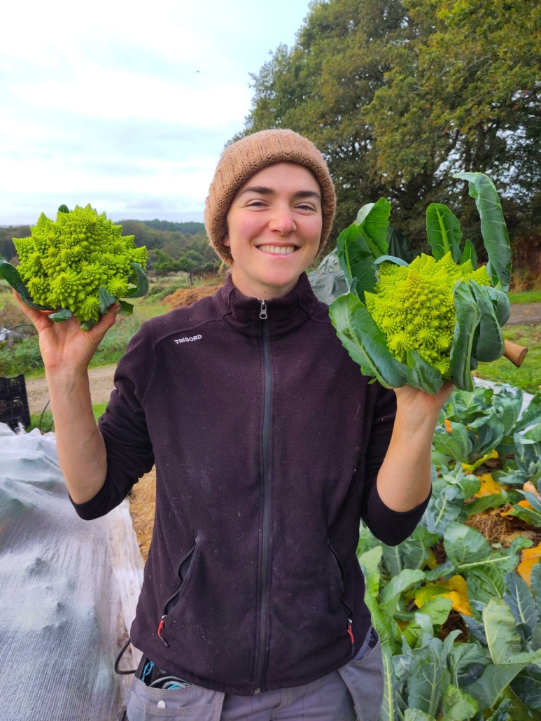 571012437_1248857600594749_1370348952847297644_n