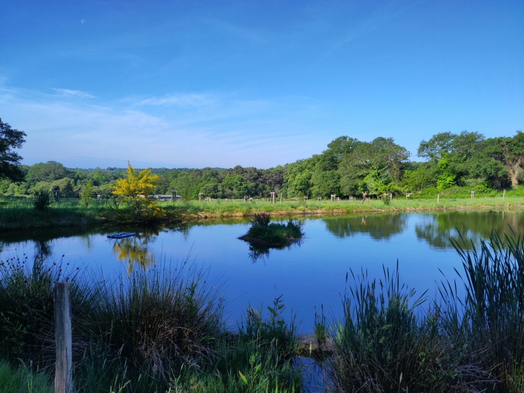 577069031_1261118966035279_7706596642570798608_n