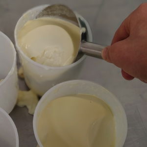 Fabriquer ses fromages frais à la maison