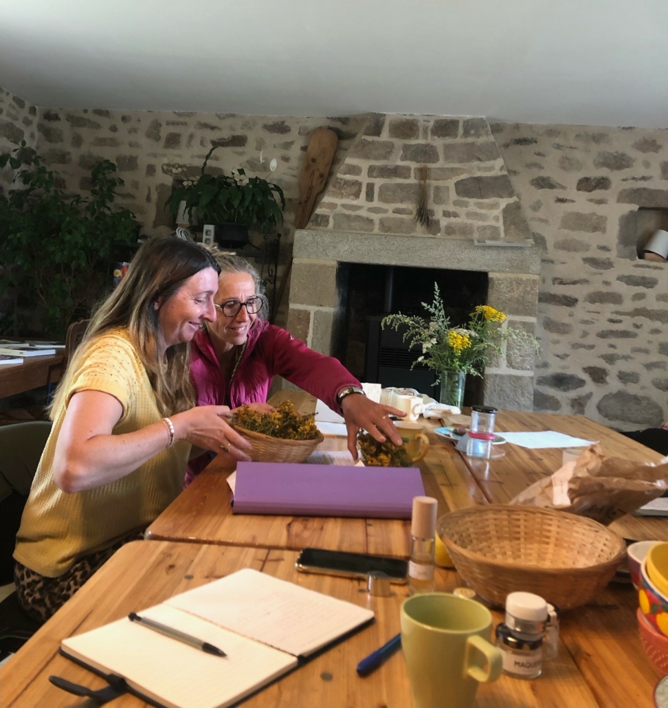 Atelier herboristerie de saison